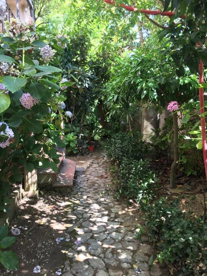 B&B Le Casette SantʼOnofrio Extérieur photo